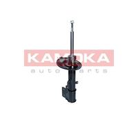 KAMOKA Ammortizzatore Asse Anteriore Sinistro Adatto A per Citroën DS5 DS