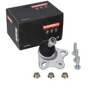 KAMOKA ASSALE ANTERIORE BILATERALE