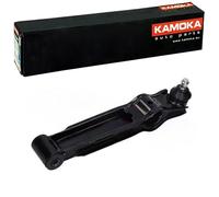 KAMOKA ASSALE ANTERIORE BILATERALE