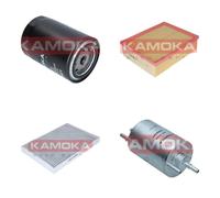 KAMOKA Controllo Set Filtri per Audi A4 Cabriolet 1.8 T di Legno per Seat Exeo