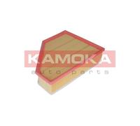 Filtro aria ricircolo F219701 KAMOKA per BMW OPEL DODGE ALPINA