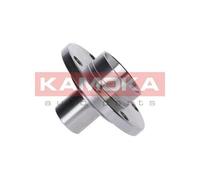 KAMOKA F602501 Kit filtro idraulico Cambio automatico per BMW 3 Limousine (E46)