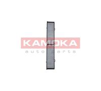 KAMOKA Filtro Aerazione per Interni per BMW X1 xDrive18d sDrive18d xDrive20d 1er