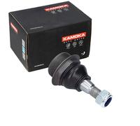 KAMOKA INFERIORE, ASSALE ANTERIORE BILATERALE