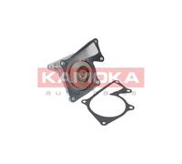 Pompa acqua T0101 KAMOKA per RENAULT DACIA NISSAN OPEL MERCEDES-BENZ BMW CITROËN