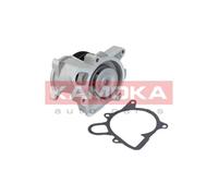Pompa acqua T0173 KAMOKA per ROVER LAND ROVER MG