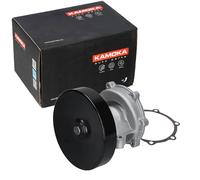 Pompa acqua T0247 KAMOKA per RENAULT SAAB TOYOTA FORD MAZDA MITSUBISHI FIAT