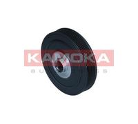 KAMOKA RW052 Puleggia cinghia, Albero a gomiti per RENAULT
