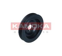 KAMOKA RW088 Puleggia cinghia, Albero a gomiti per OPEL