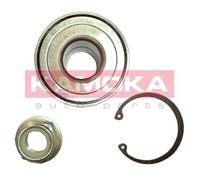KAMOKA Set Cuscinetti Posteriore per Renault Megane I Grandtour KA0/1_