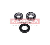 Cuscinetto ruota Assale posteriore 5600090 KAMOKA per CHEVROLET DAEWOO