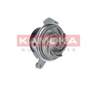 KAMOKA Pompa Acqua di Raffreddamento per Volvo S80 I Ts XY Ragno 939 156 932_