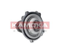KAMOKA T0038 Pompa dell’acqua, raffreddamento motore per ALPINA,AUDI,CITROËN,NIS
