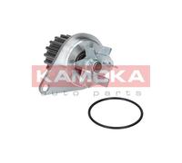 Pompa acqua T0089 KAMOKA per PEUGEOT VW CITROËN SUBARU