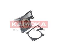 Pompa acqua T0101 KAMOKA per RENAULT DACIA NISSAN OPEL MERCEDES-BENZ BMW CITROËN