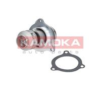 KAMOKA T0135 Pompa dell’acqua, raffreddamento motore per AUDI,FORD,MERCEDES-BENZ