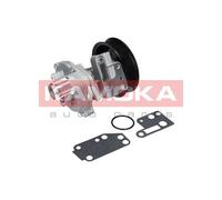 Pompa acqua T0142 KAMOKA per FORD SUBARU CITROËN LANCIA HONDA LAND ROVER