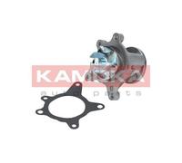 Pompa acqua T0163 KAMOKA per HYUNDAI KIA SKODA CHEVROLET SAAB