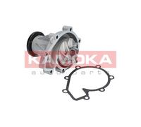 KAMOKA T0181 Pompa dell’acqua, raffreddamento motore per CITROËN,DAEWOO,FORD,LAN