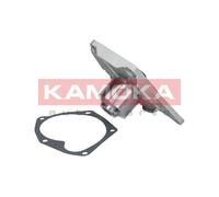Pompa acqua T0214 KAMOKA per RENAULT NISSAN CHEVROLET SUZUKI CITROËN VW DACIA MG