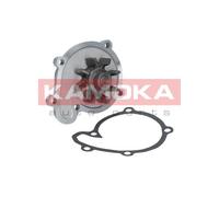 KAMOKA T0217 Pompa acqua