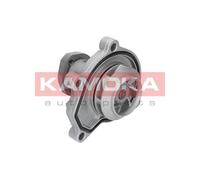 KAMOKA T0252 Pompa dell’acqua, raffreddamento motore per CITROËN,FORD,HYUNDAI,IS