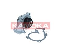 KAMOKA T0295 Pompa dell’acqua, raffreddamento motore per CITROËN,DS,OPEL,PEUGEOT