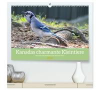 Kanadas charmante Kleintiere - Bezaubernde Einblicke in die Natur (hochwertiger Premium Wandkalender 2026 DIN A2 quer), Kunstdruck in Hochglanz: ... Einblicke in die Welt der kleinen Tiere.