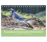 Kanadas charmante Kleintiere - Bezaubernde Einblicke in die Natur (Tischkalender 2026 DIN A5 quer), CALVENDO Monatskalender: Erlebe die charmante ... Einblicke in die Welt der kleinen Tiere.
