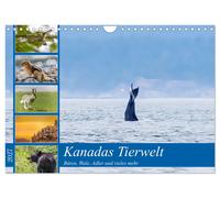 Kanadas Tierwelt - Bären, Wale und vieles mehr (Wandkalender 2027 DIN A4 quer),