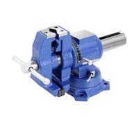 KANBCNG Morsa da lavoro 2 in 1, apertura 100 mm, morsa girevole a 360°, 12 kg, pinza parallela professionale, per elevate sollecitazioni