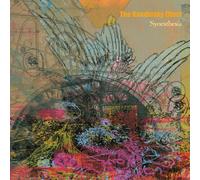 Kandinsky Effect - Synesthesia