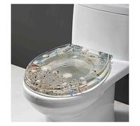 KAnduo Sedile WC con Chiusura Ammortizzata, Sedile WC a sgancio rapido, Coperchio WC in Resina Regolabile, Cerniere stabili ad Alta capacità portante for WC Standard 42 * 36 cm(Clear)