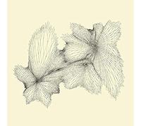 Kang, Eyvind - Plainlight