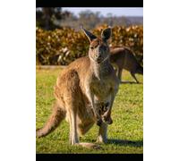 Kangaroo Coloring Book for Kids: Fun and Creative Coloring Pages Featuring Kangaroos and Australian Wildlife for Kids Ages 4-8