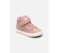 KaVu III by Kangaroos 25 Rosa