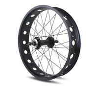 KANGXYSQ Set Di Ruote Fat Bikes 20/24/26x4.0'' Fronte Retro Ruota Anteriore For Bici Da Neve Lega Di Alluminio Sgancio Rapido 135 Mm/195 Mm Mozzo Anteriore 14 G(Rear,20")