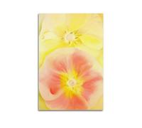 KANGZENG Georgia O'Keeffe Painter Works (malvarosa rosa e gialla) poster artistico decorativo da parete su tela per soggiorno e camera da letto 40 x 60 cm