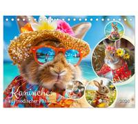 Kaninchen auf modischer Mission (Tischkalender 2026 DIN A5 quer), CALVENDO Monatskalender: Die modische und flauschige Welt der Häschen
