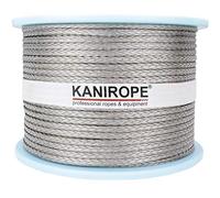 Kanirope Dyneema PRO 3 mm 100 m argento 12 x intrecciato SK78 pre-allungato rivestito