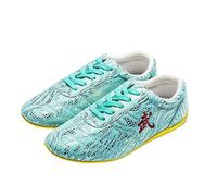 KANLVU Tai Chi Scarpe Leggere Kung Fu Arti Marziali con Suola Antiscivolo, per L'allenamento, Lo Sport, Le Competizioni Pelle Bovina da Taekwondo(37 EU,M)