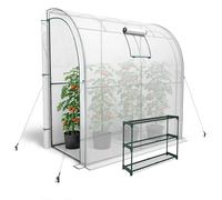 KANWOD Serra a Parete da Giardino con Scaffale, Finestra e 2 Porte Avvolgibili, Invernale, Robusta, Stabile e Facile da Montare, Serra orto per Protezione Piante, Verdure, Fiori 200x100x210 cm