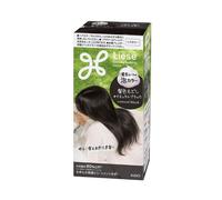 Kao - Liese Creamy Bubble Color (Japan Version) - 1 scatola - Natural Black