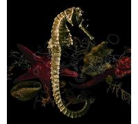 Kaolin - De Retour Dans Nos Criques (CD + DVD)