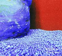 Kapok Kapok - Glass To Sand (CD)