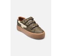 Kaporal - CLOVIA Verde - Sneakers 38 Verde