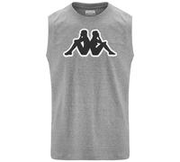 Kappa - T-Shirts & Top, Uomo, Grigio, Cotone, Sportivo. Logo Dwal, Taglia: L