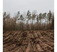 Kaptain Kaizen - Alles und Nichts