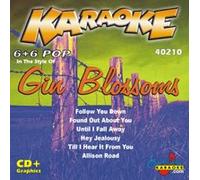 Karaoke Gin Blossoms - Karaoke Gin Blossoms