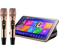 Karaoke Player 18,5-IH Touch Screen all-in-One Machine, Desktop, Effetti integrati con 2 Microfono Wireless per la Festa del Bar di Famiglia, Nero, 3 TB
